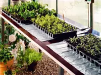 Lämpömatto Bio Green Sahara kasveille