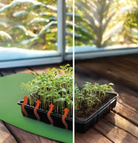 Lämpömatto Bio Green Sahara kasveille