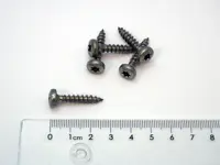 Ruostumaton ruuvi 5x25 räystäskouruun.