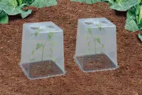 Suoja Duogrowlle