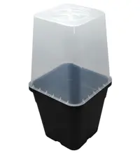 Suoja Duogrowlle