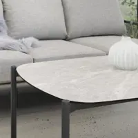 Dandelion Sohvapöytä
