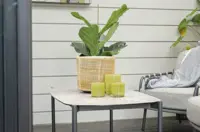 Dandelion Sohvapöytä