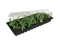 Minigro 30 ruukulla