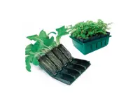 Minikasvihuone Haxnicks Rootrainers Compact Rapid