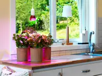 Kasvilamppu LED kasvatukseen punaisella valolla