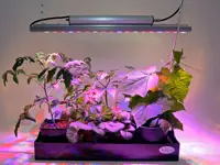 Kasvatusvalaisin Quattro 30 W