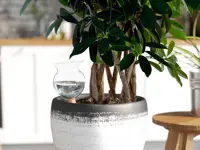 Itsekastelusäiliö Hydro Bloom