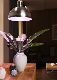 Kasvien valaistus Florabooster 500