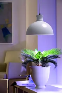 Kasvien valaistus Florabooster 500