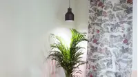 Kasvilamppu LED Standard valkoisella valolla