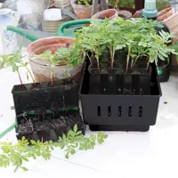 Minikasvihuone Nelson Garden Rootmaster